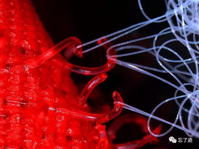 魔術(shù)貼如何改變了時尚？